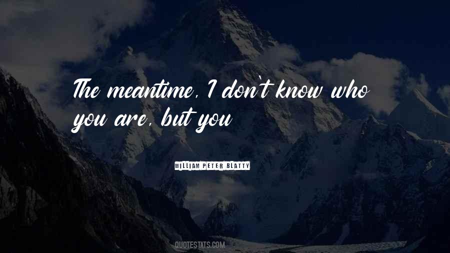 Quotes About The Meantime #967475