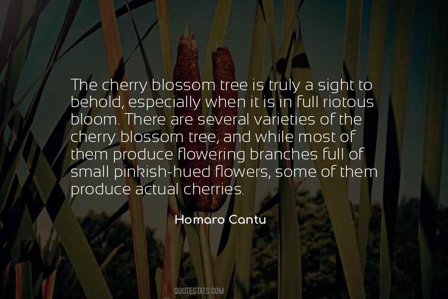 Quotes About Cherry Blossom Tree #1210051