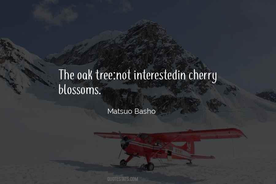 Quotes About Cherry Blossom Tree #452467