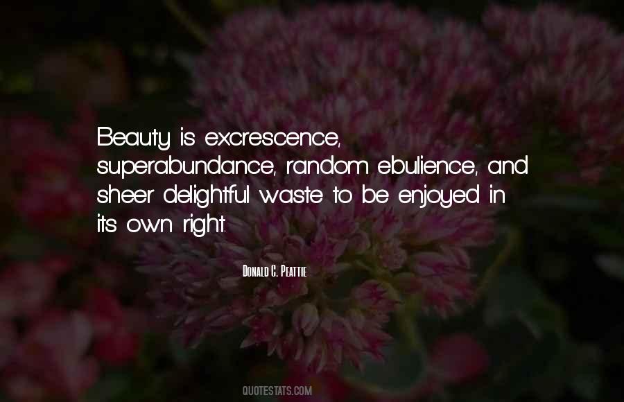Quotes About Sheer Beauty #921221