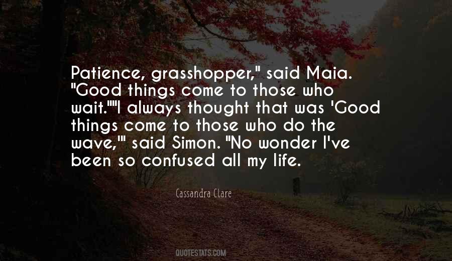 Quotes About Patience Grasshopper #634993