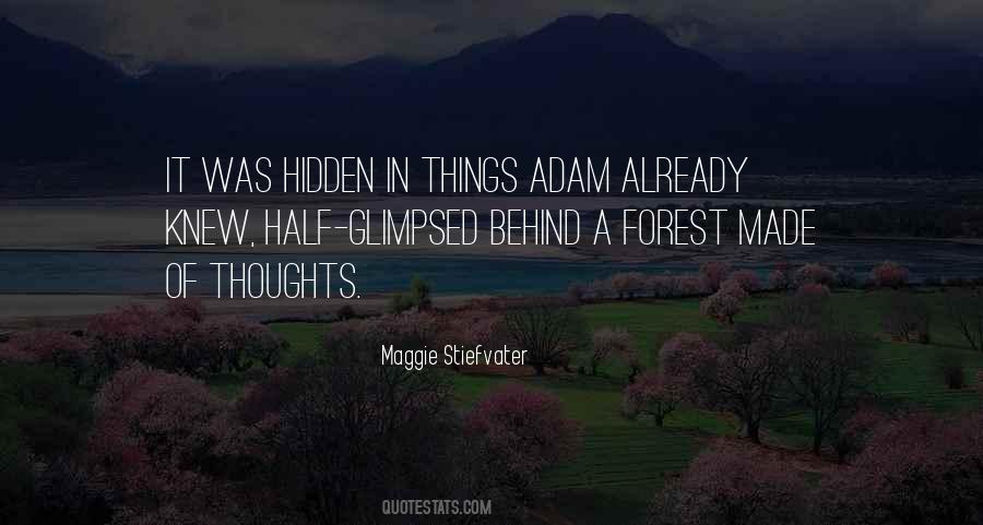 Quotes About The Hidden Truth #485755