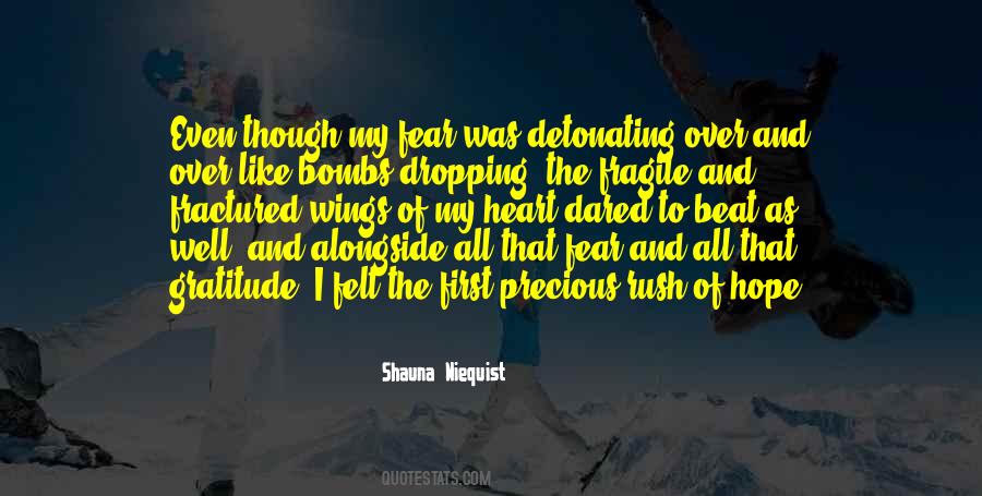 Quotes About Having A Fragile Heart #342292
