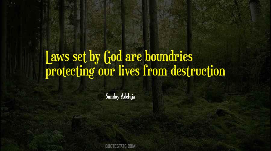 Protection Laws Quotes #1481627