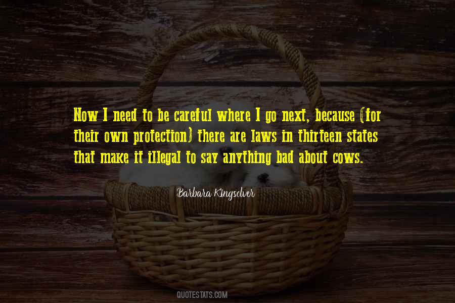 Protection Laws Quotes #1655841