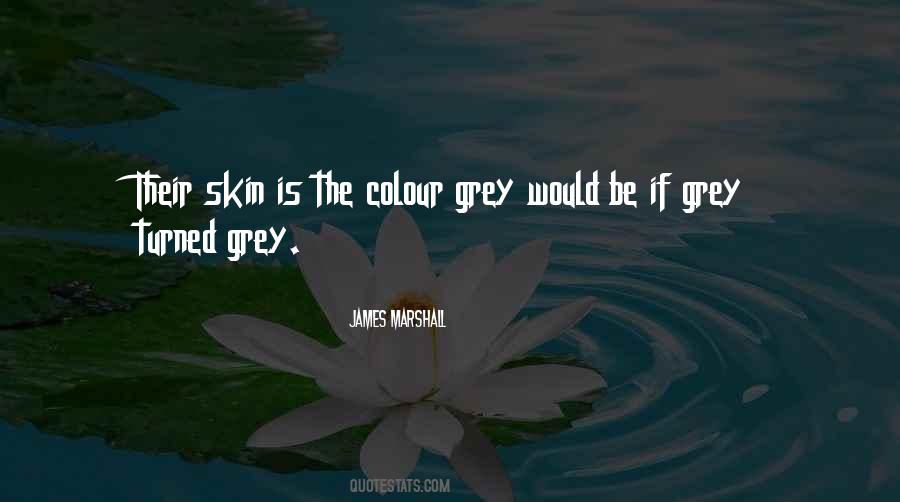 Quotes About Skin Colour #1025570
