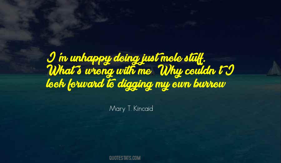 Quotes About What's Wrong With Me #443637