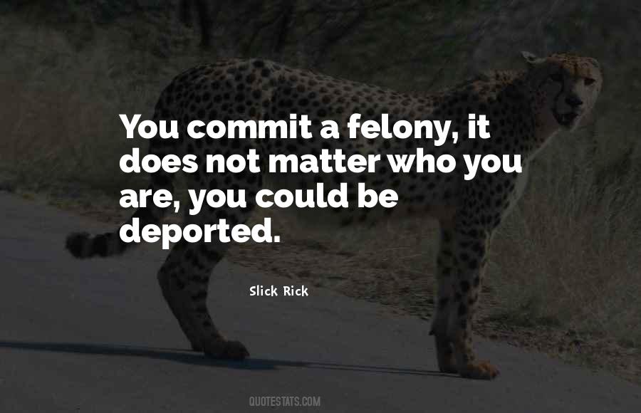 Quotes About Felony #360981
