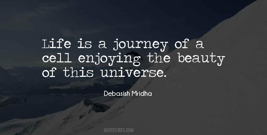 Quotes About Life Is A Journey #1436414