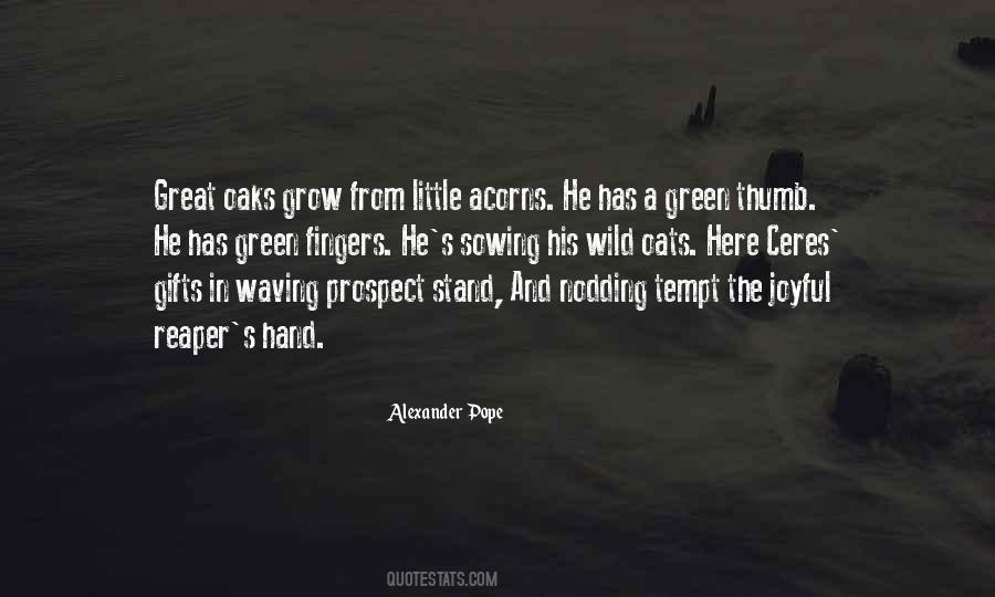 Quotes About Little Hands #429549