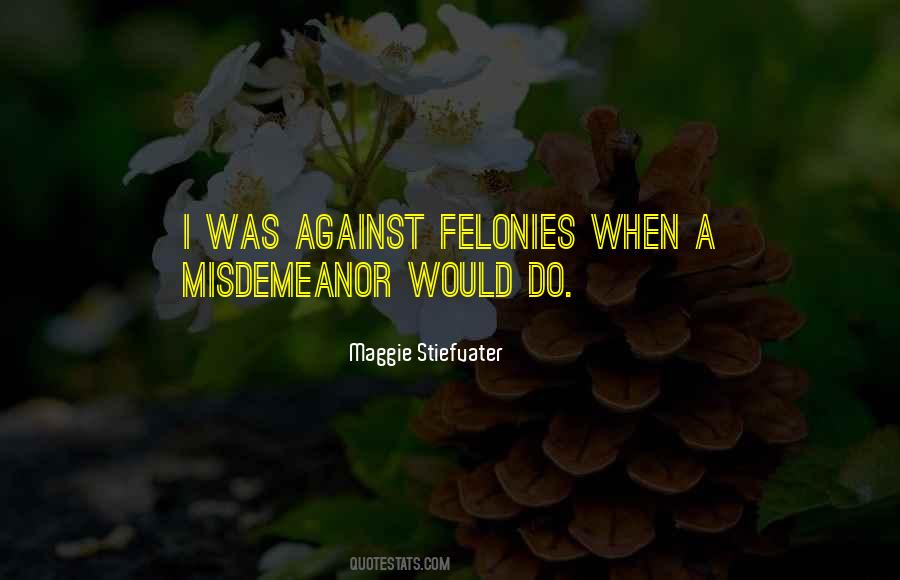 Quotes About Felonies #23209
