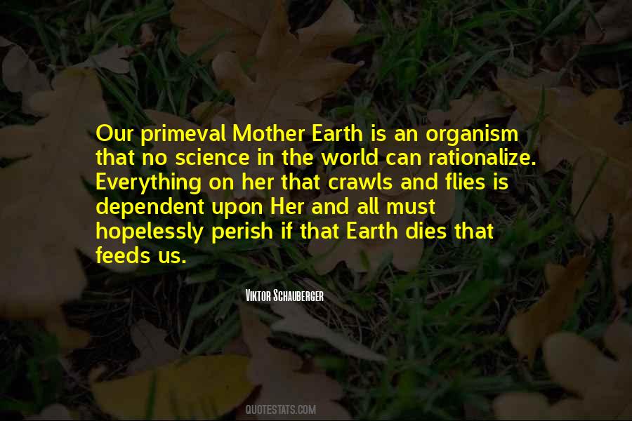 Quotes About Earth Mother #135915