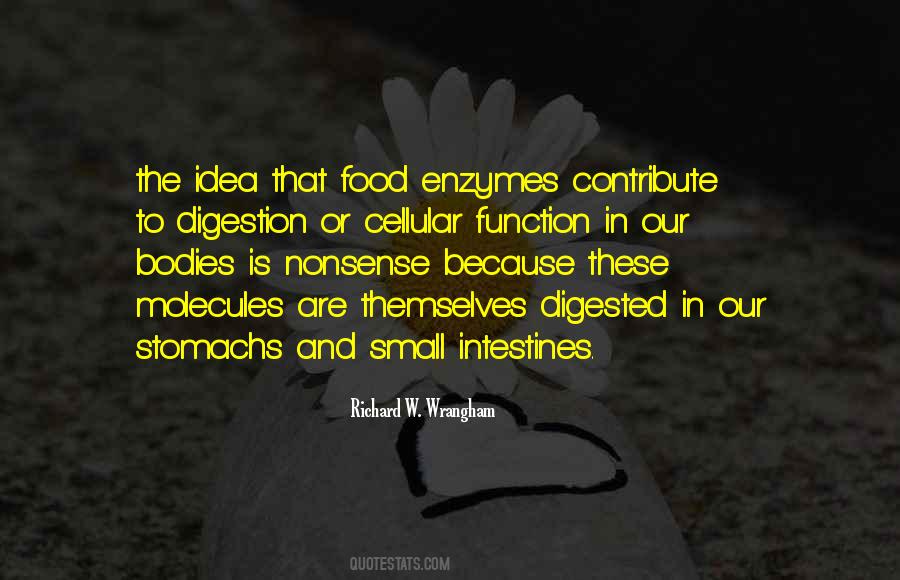 Quotes About Intestines #1812076