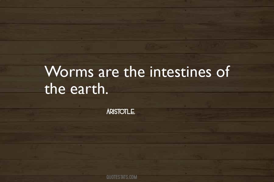Quotes About Intestines #546059