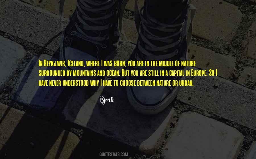 Quotes About Reykjavik #878705