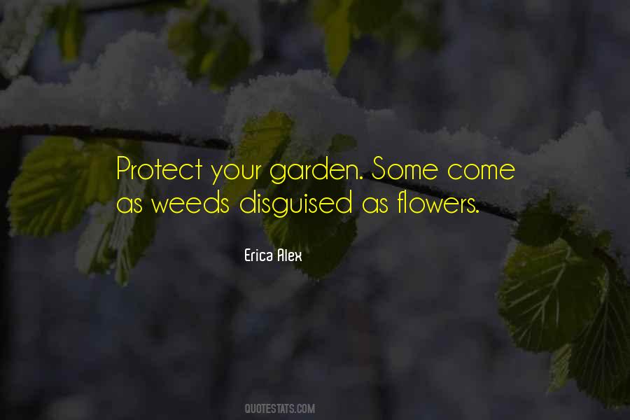 Quotes About Life Flowers #475480