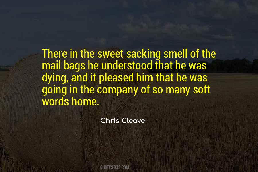 Mail Bags Quotes #1666257