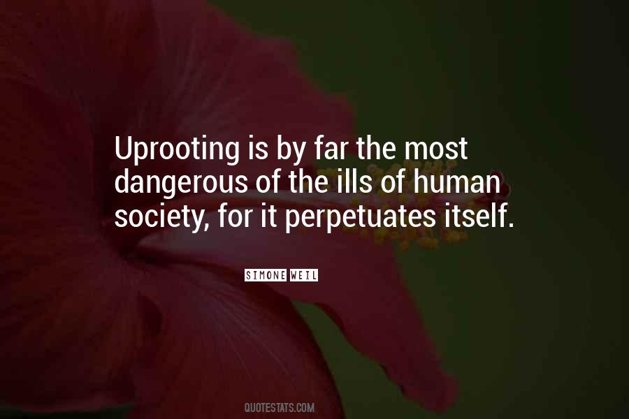 Quotes About Uprooting #1792840
