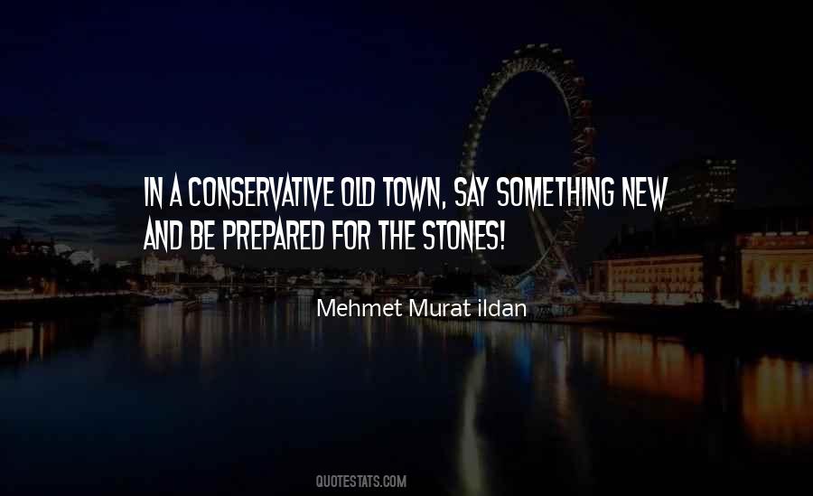 Old Stones Quotes #35231