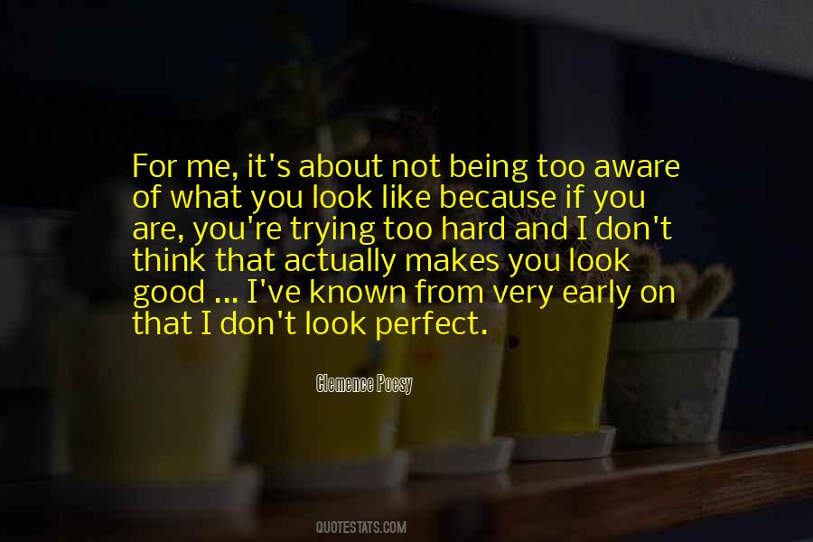 Quotes About Trying To Look Perfect #1490973