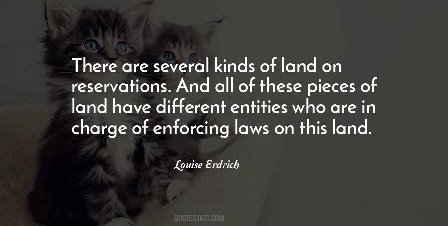 Quotes About Enforcing Laws #415023