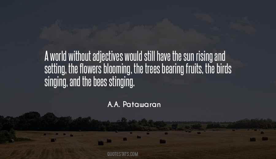 Quotes About The Sun Rising And Setting #751604