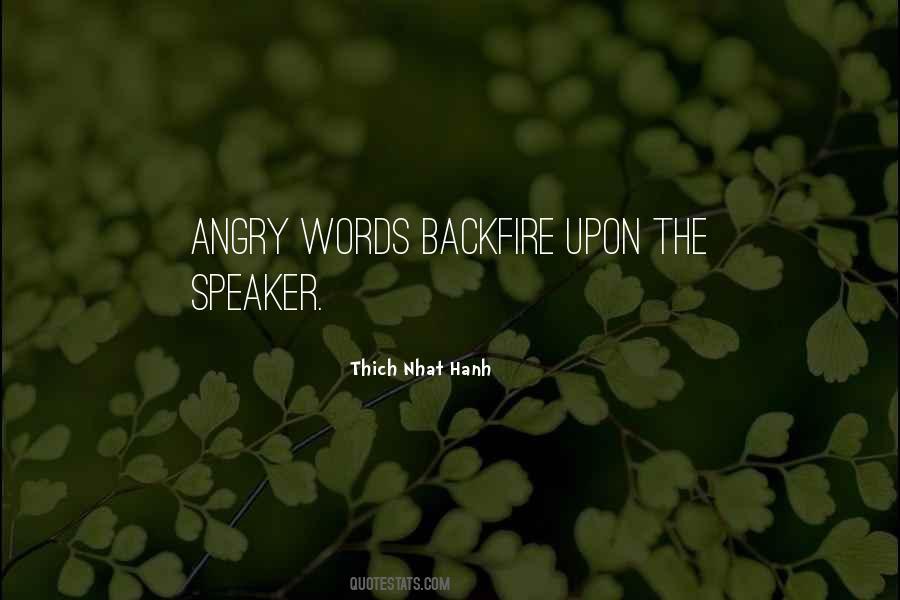 Quotes About Angry Words #589651