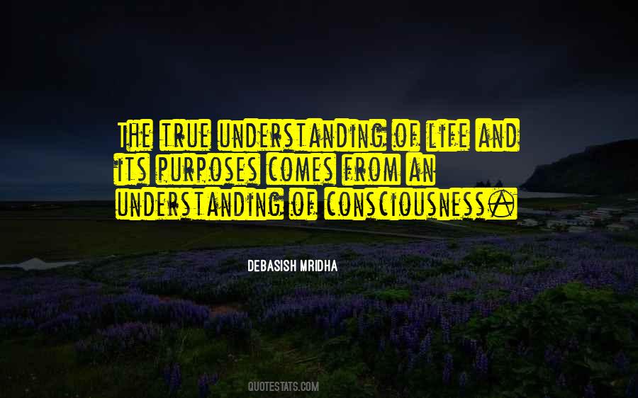 Understanding Consciousness Quotes #567601