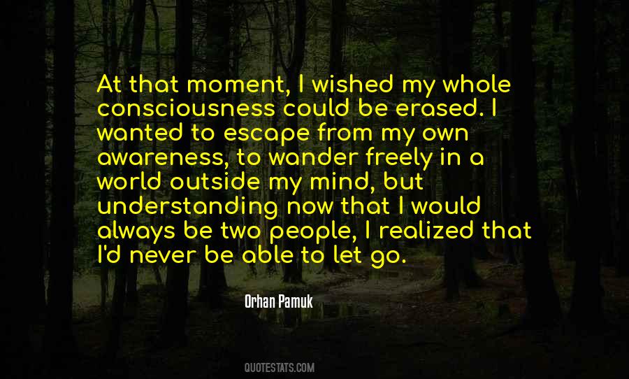 Understanding Consciousness Quotes #940129