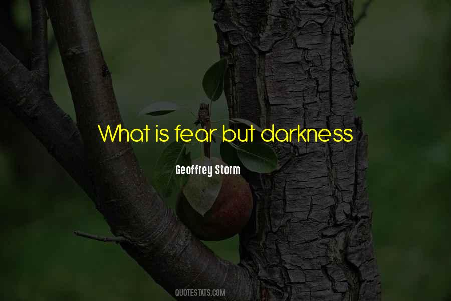 Fear Darkness Quotes #261450