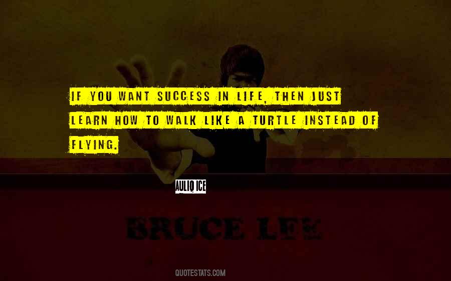 Quotes About Flying Inspirational #267020