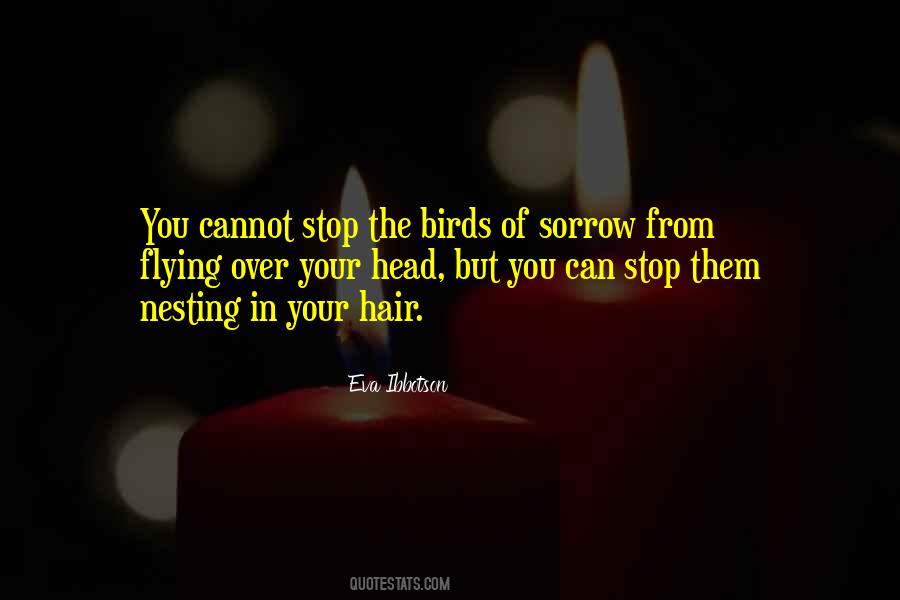 Quotes About Flying Inspirational #777346