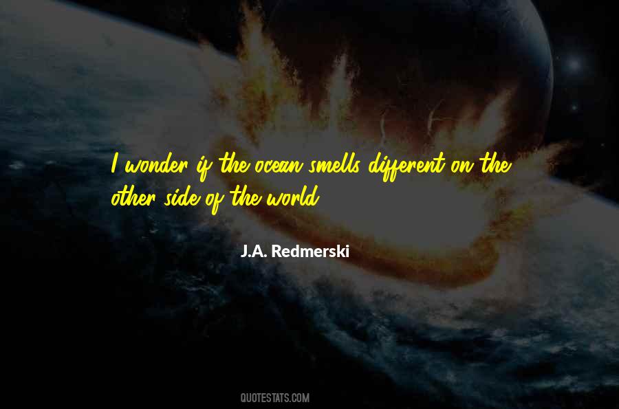Quotes About The Other Side Of The World #503541