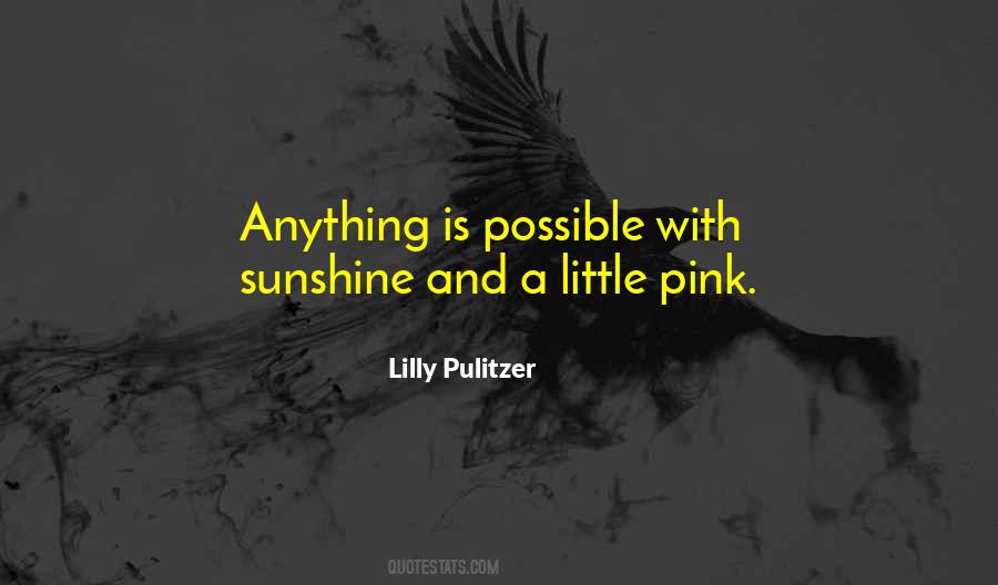 Quotes About Anything Is Possible #1759560