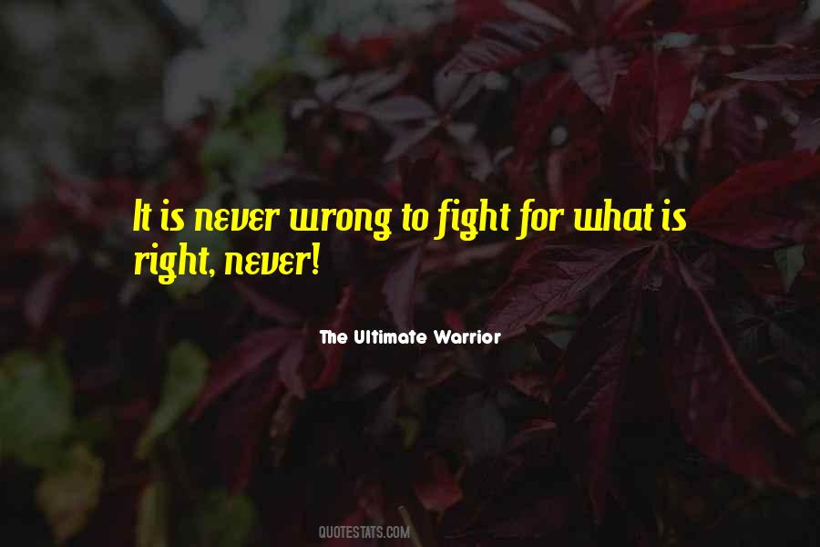 Quotes About Fighting For What's Right #227580