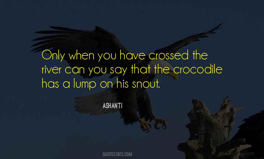 Quotes About Crocodiles #1802742