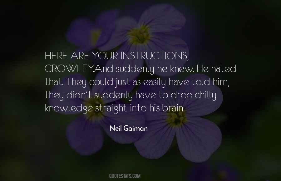 Gaiman Neil Quotes #83665