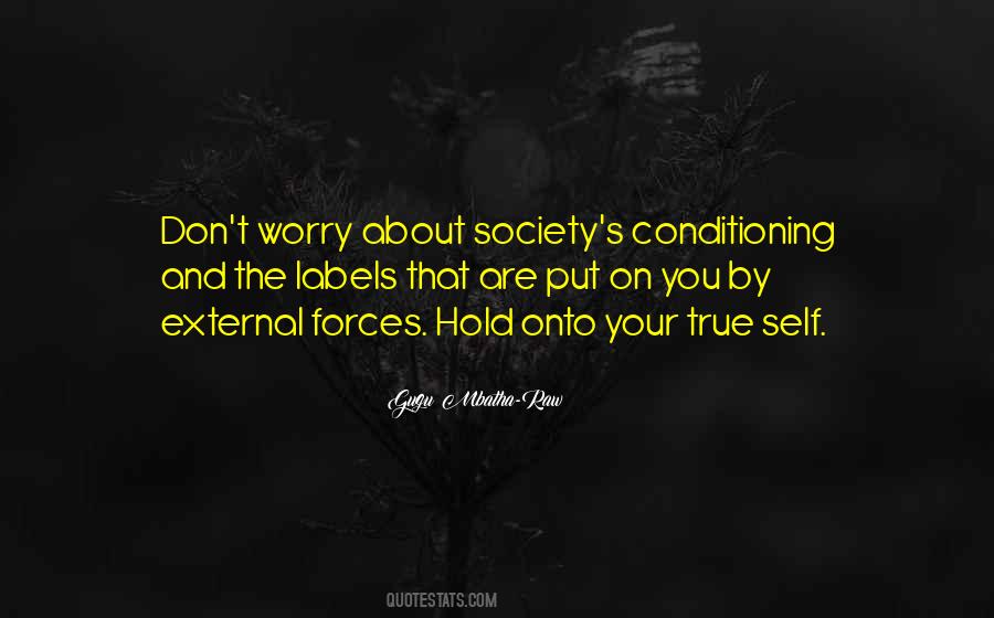 Quotes About External Forces #403311