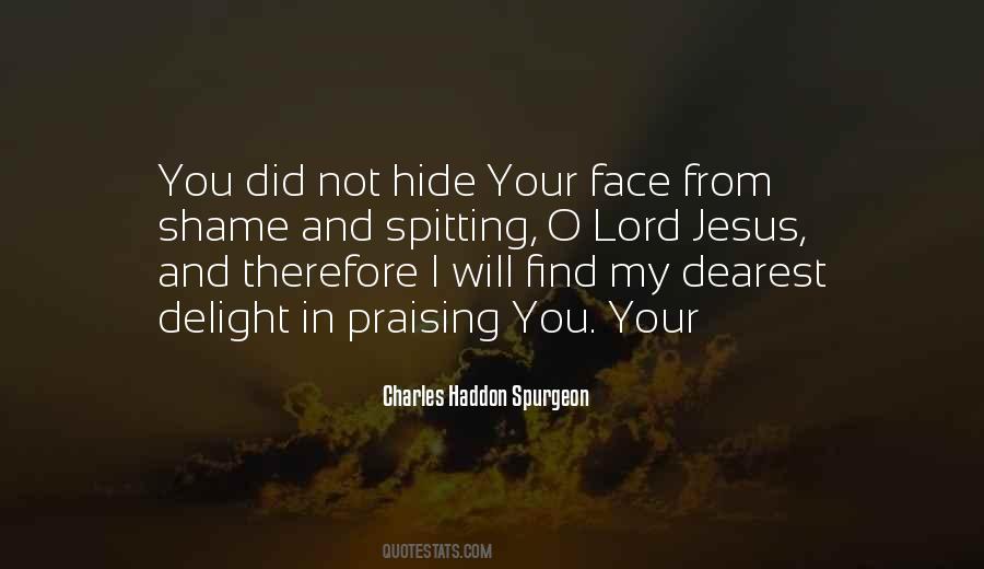Did I Find You Quotes #485806