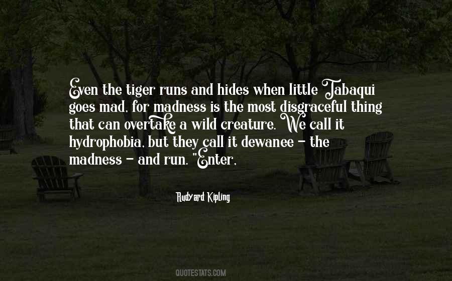 Run Mad Quotes #315163