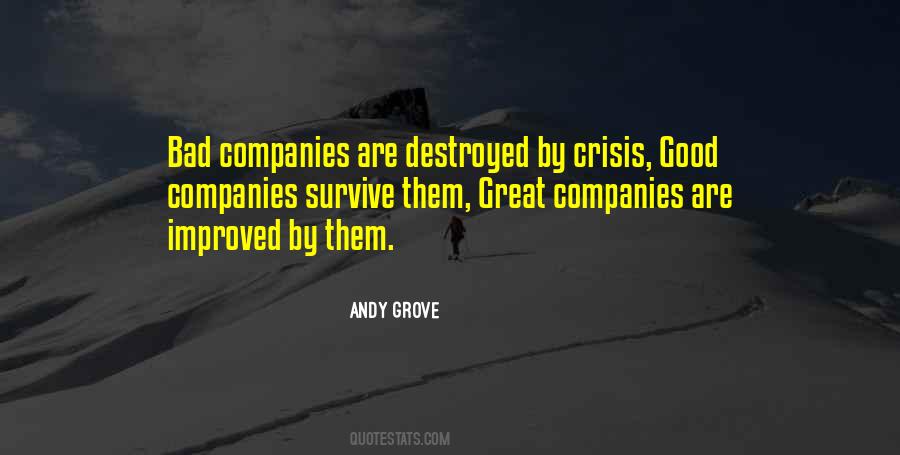 Quotes About Great Companies #544472