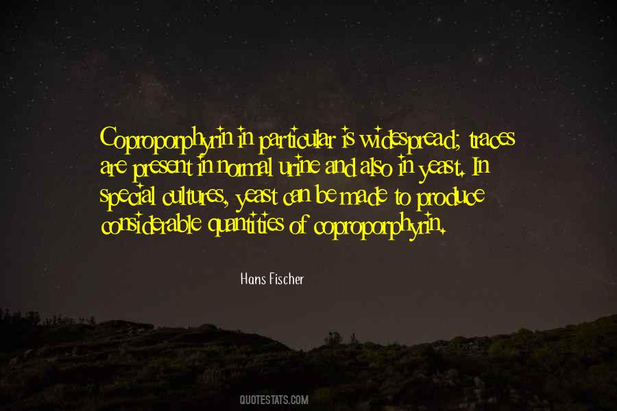 Huascaran National Park Quotes #836334