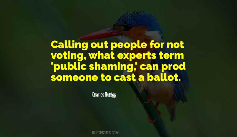 Quotes About Public Shaming #1565508