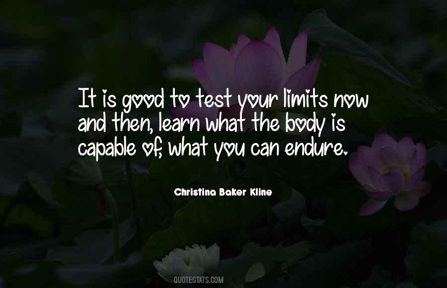 Quotes About Limits #1668459