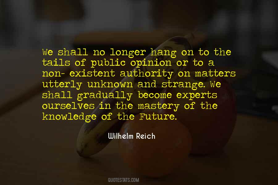 Quotes About The Unknown Future #188775