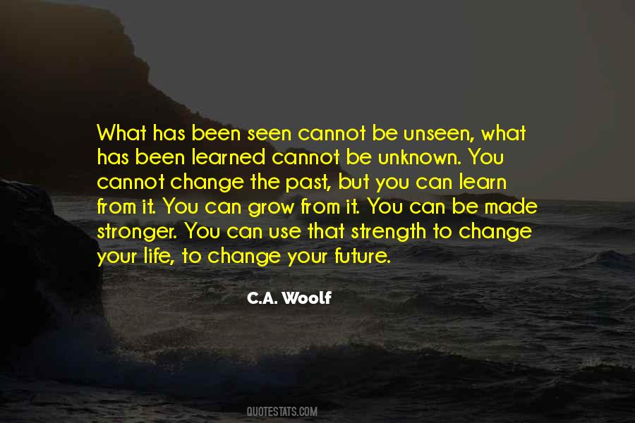 Quotes About The Unknown Future #2475