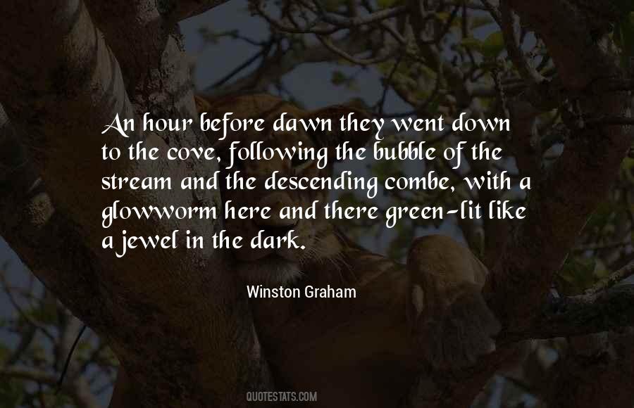 From The Dark To The Dawn Quotes #447330