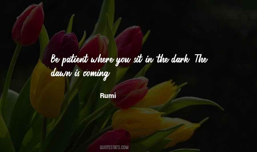 From The Dark To The Dawn Quotes #536450