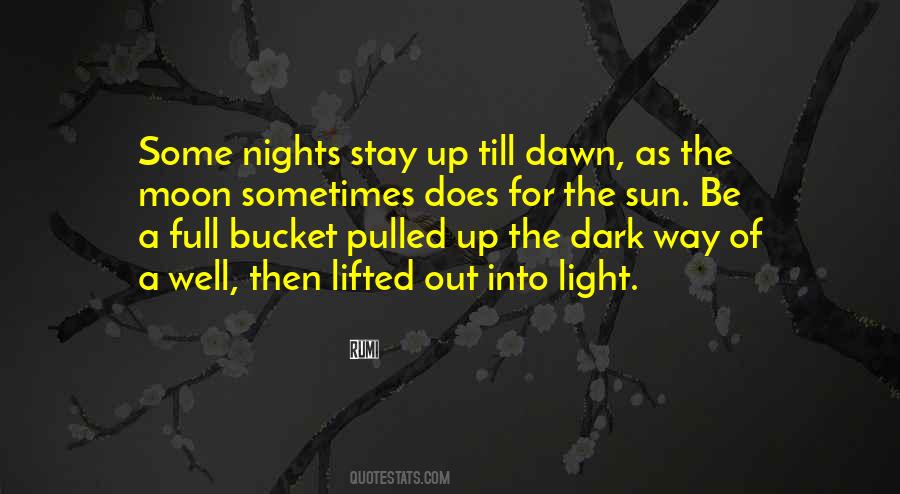 From The Dark To The Dawn Quotes #982639