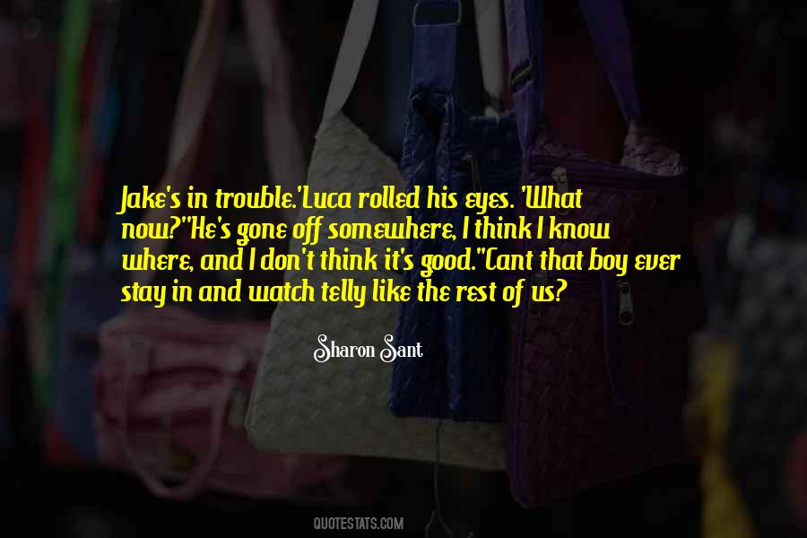 Trouble Series Quotes #82826